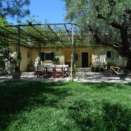 Theni Olive Grove Villa Kato Yerakarion Bagian luar foto