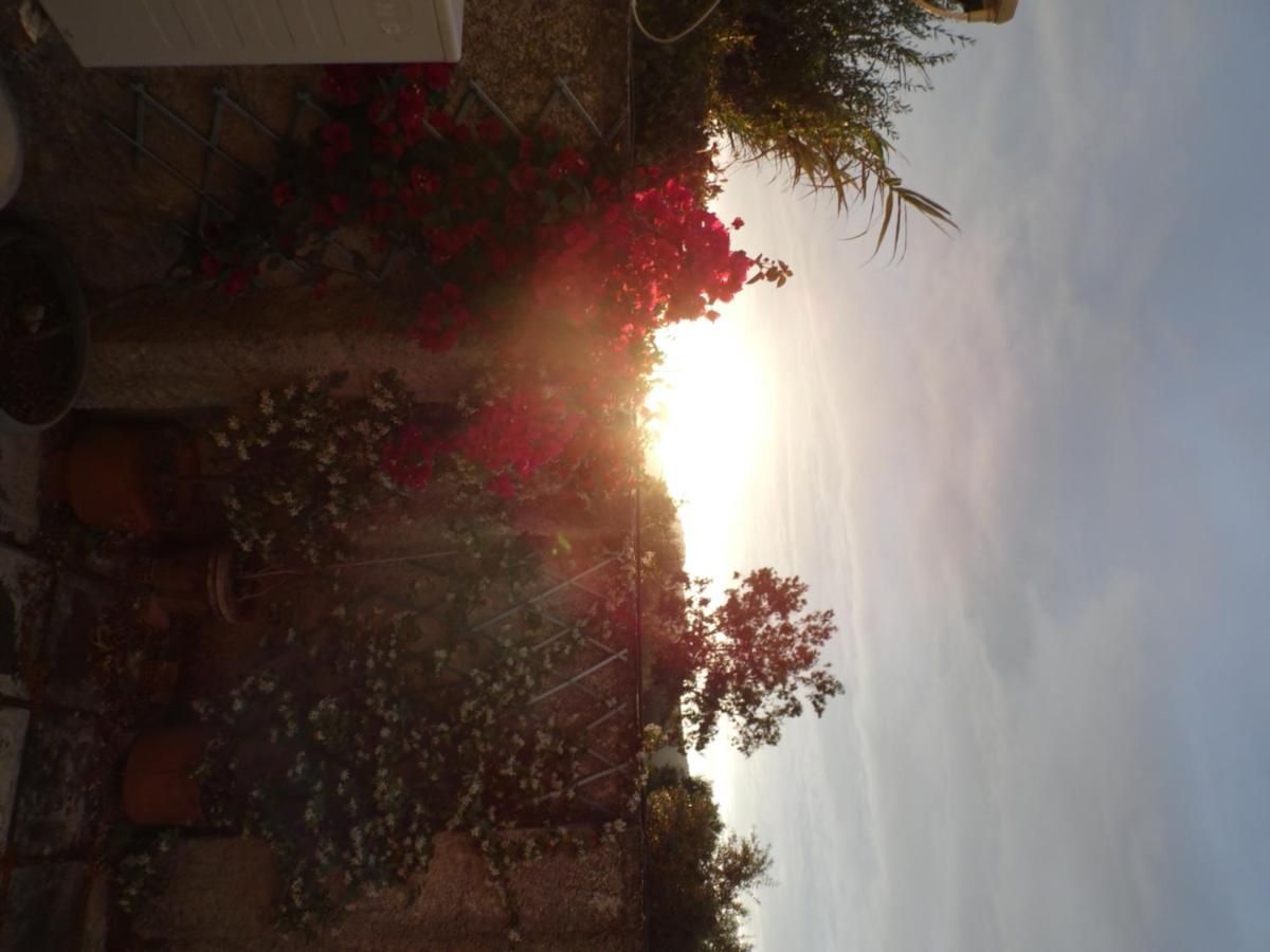 Theni Olive Grove Villa Kato Yerakarion Bagian luar foto