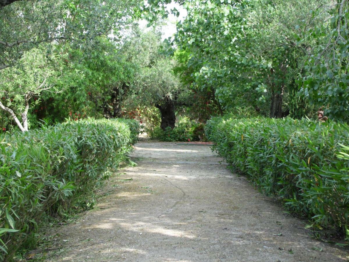 Theni Olive Grove Villa Kato Yerakarion Bagian luar foto