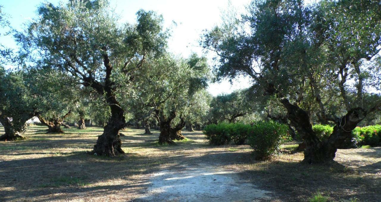 Theni Olive Grove Villa Kato Yerakarion Bagian luar foto
