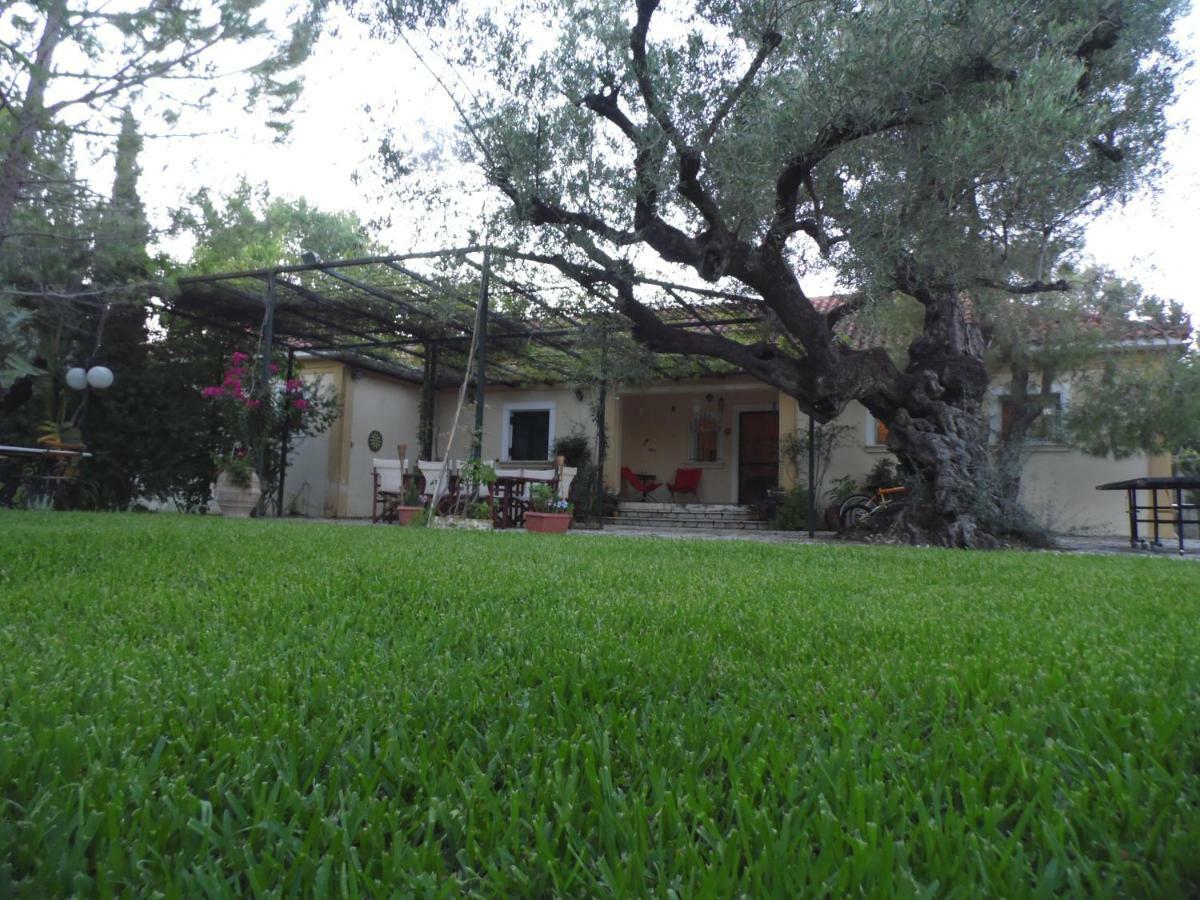 Theni Olive Grove Villa Kato Yerakarion Bagian luar foto